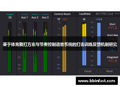 基于体育散打方案与节奏控制语音系统的打击训练反馈机制研究