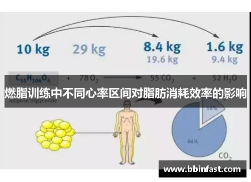 燃脂训练中不同心率区间对脂肪消耗效率的影响